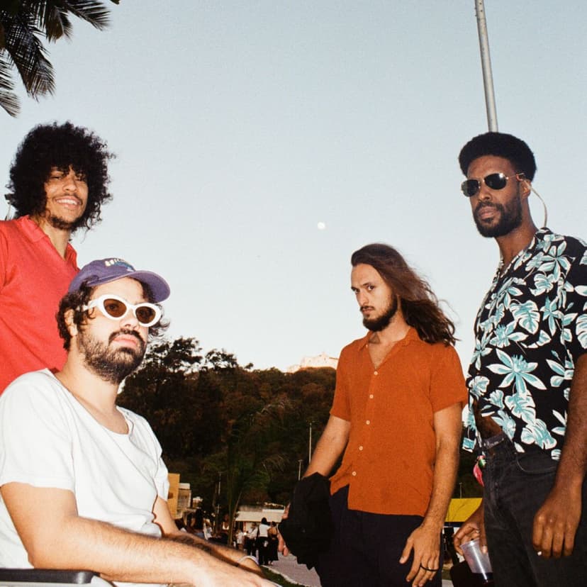 Boogarins