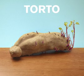 Torto